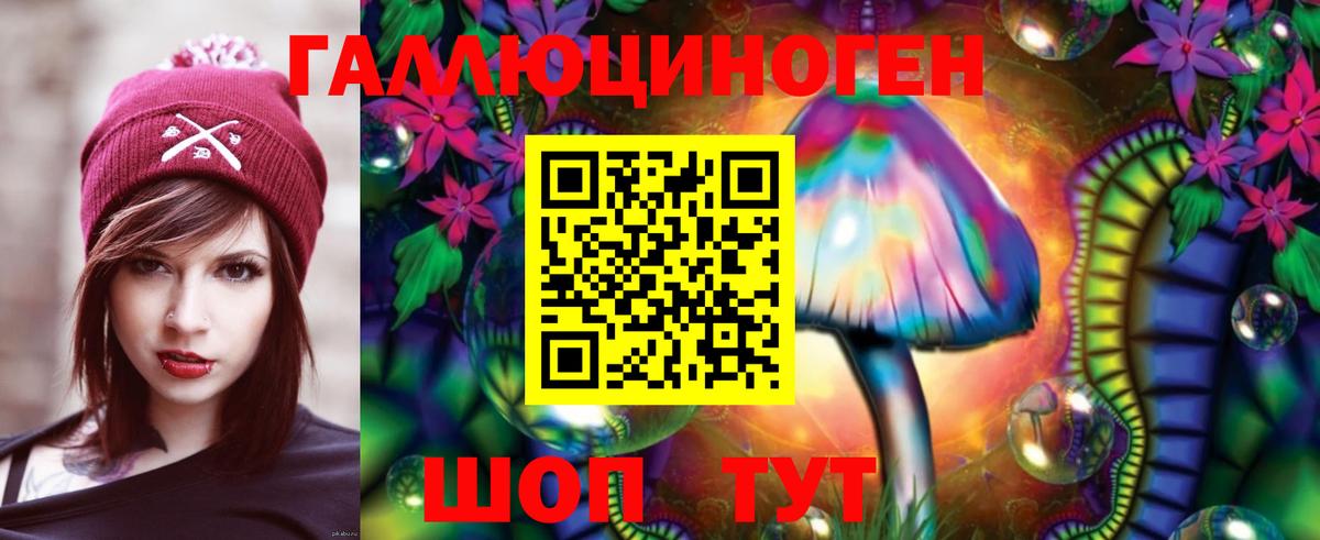 Ачхой-Мартан  как найти   Вход с VPN  Псилоцибиновые грибы мухоморы 